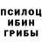 Галлюциногенные грибы Psilocybine cubensis 777SerjogA