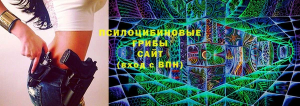 стаф Бородино