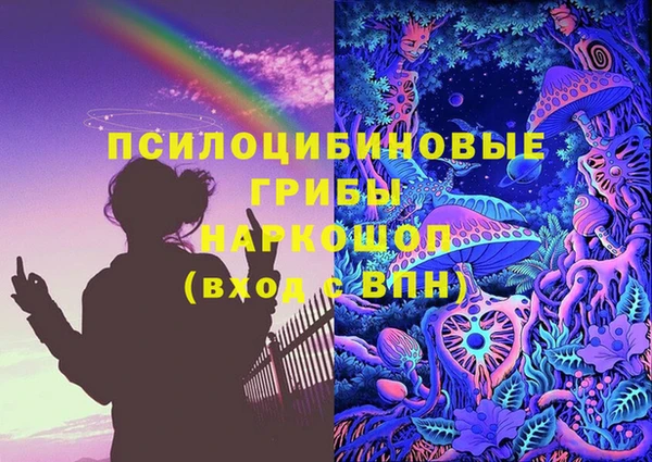 ПСИЛОЦИБИНОВЫЕ ГРИБЫ Богданович