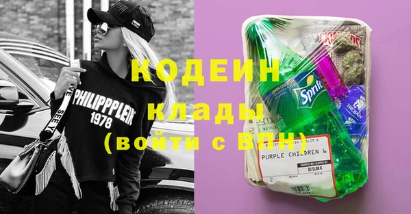 стаф Бородино