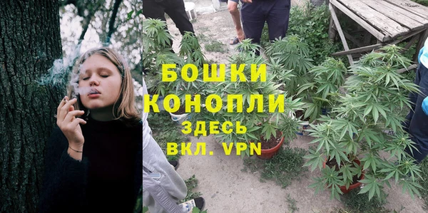 стаф Бородино