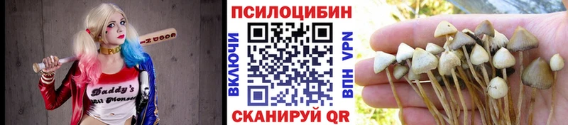наркота  Миньяр  Галлюциногенные грибы ЛСД 